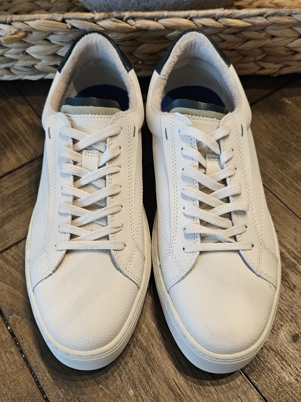 Steve Madden Cream Dark Green Leather Sneaker Shoes - Men's Sz 8 NWOB